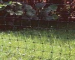 Poultry Electric Net 25m in Green - keep your hens safe